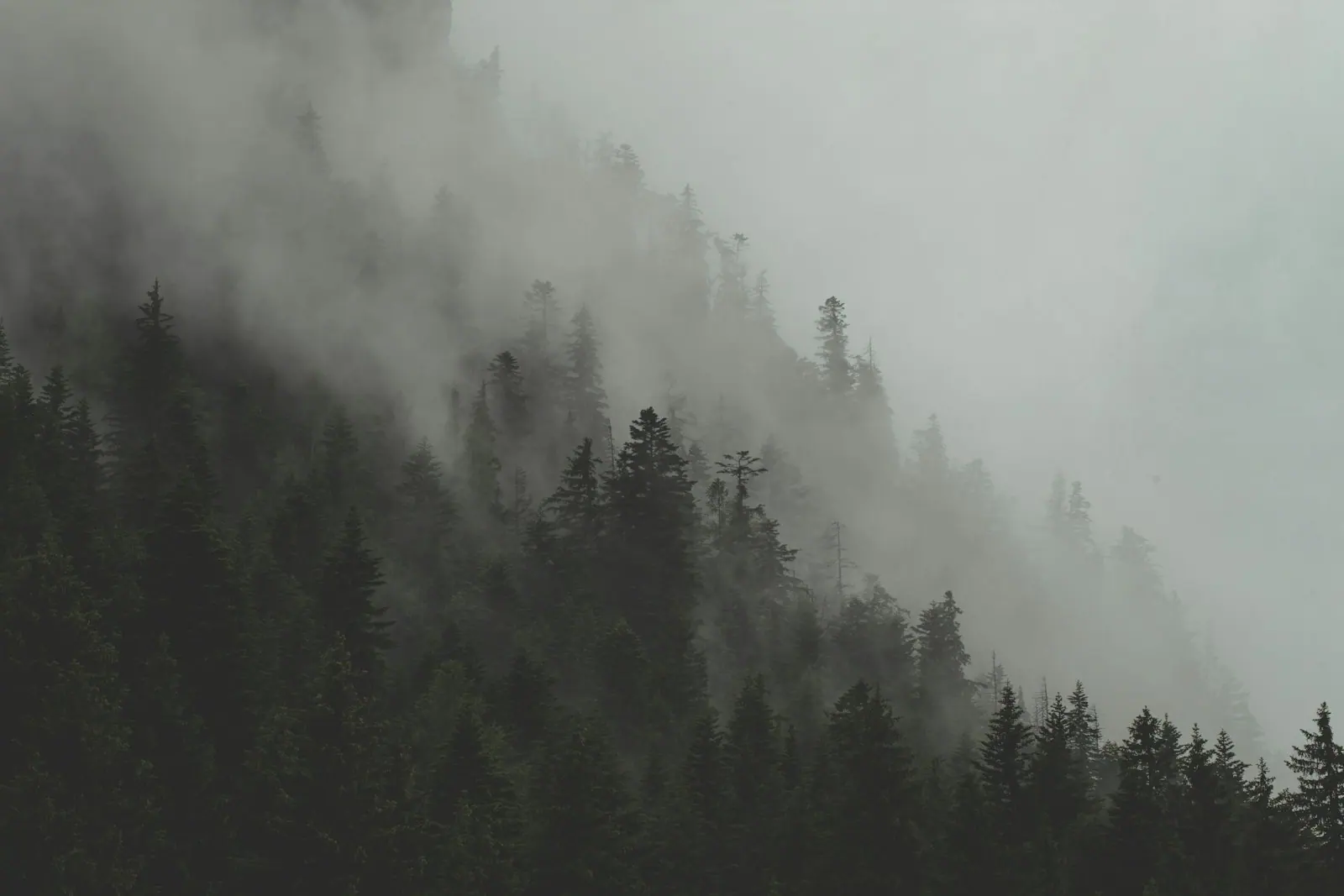 Layered mountain ridges under early morning mist