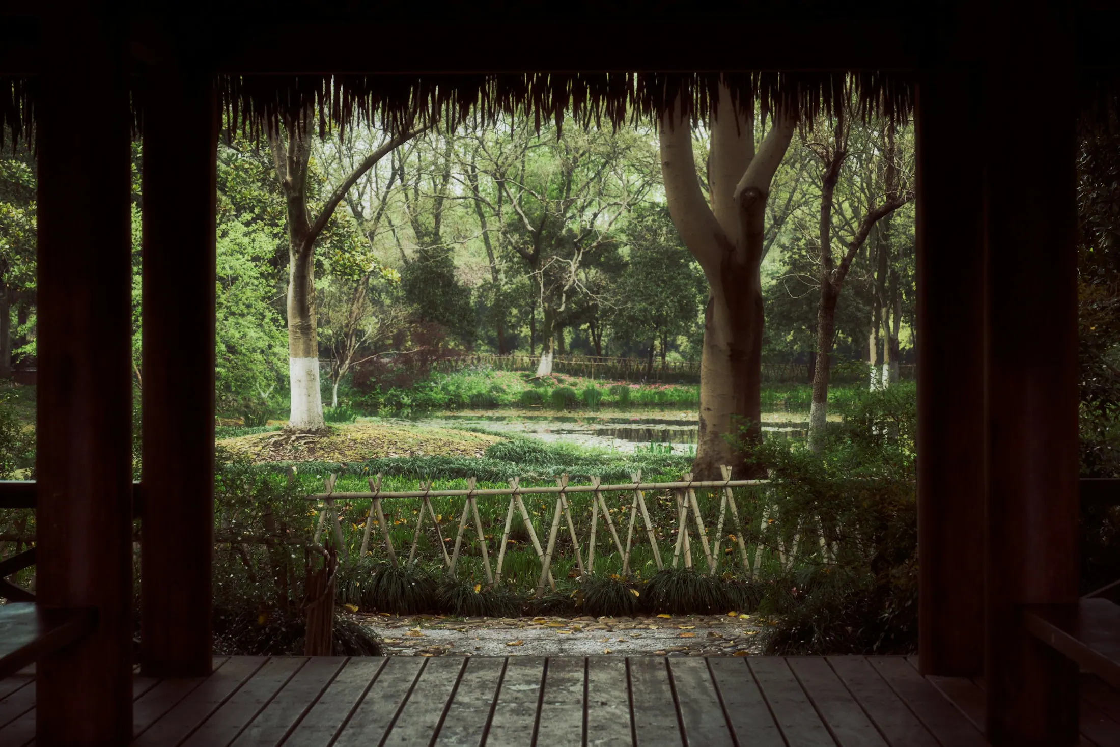 A wooden pavilion beside water in a quiet garden