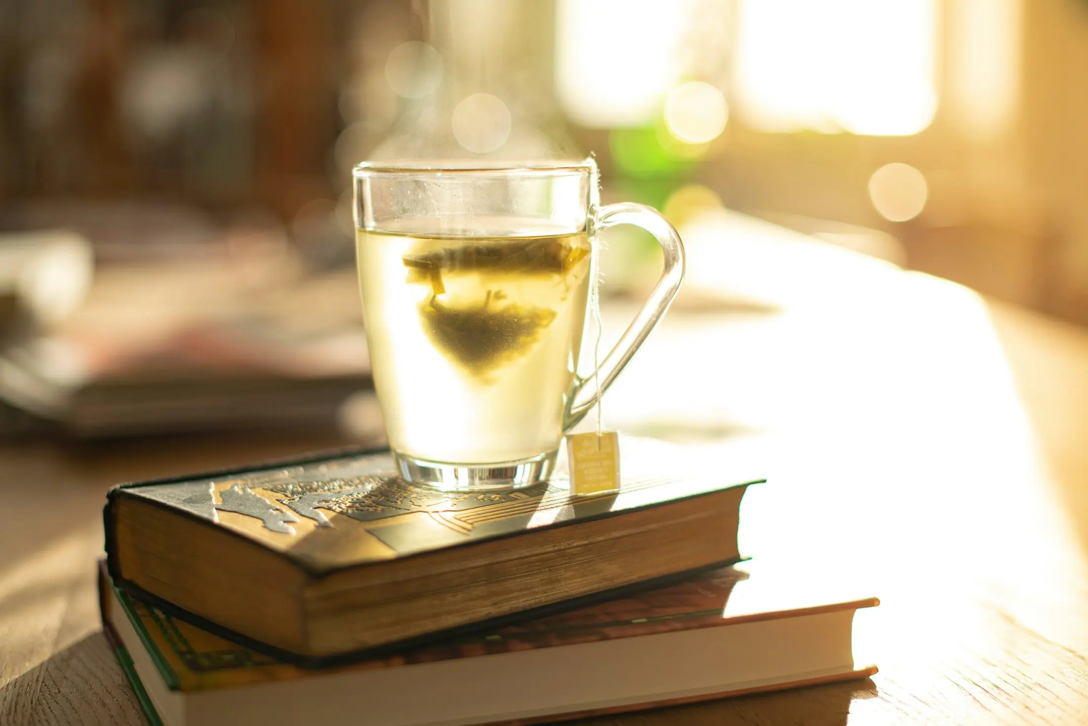 A cup of herbal tea and an open book in morning light