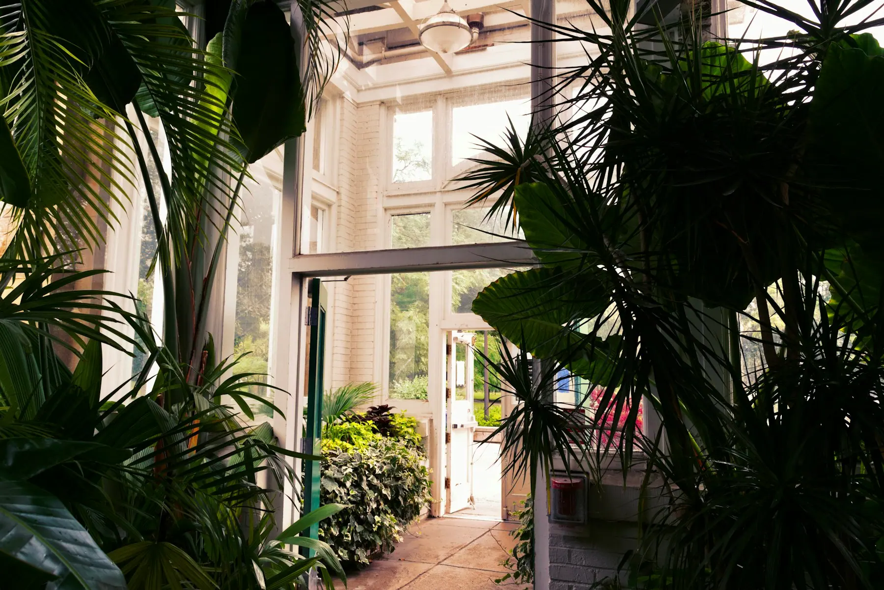 A calm guest room opening onto a planted garden